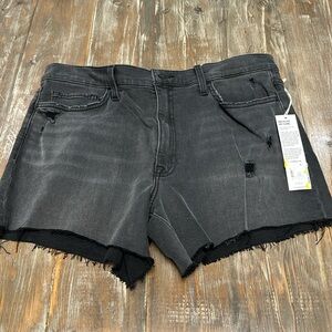 NEW WITH TAGS HUDSON KASS HIGH RISE BIKER SHORT SIZE 30